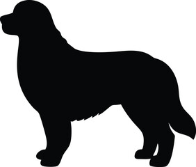 bernese mountain dog silhouette
