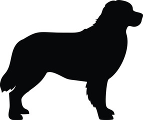 bernese mountain dog silhouette