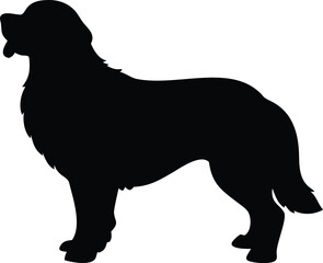 bernese mountain dog silhouette