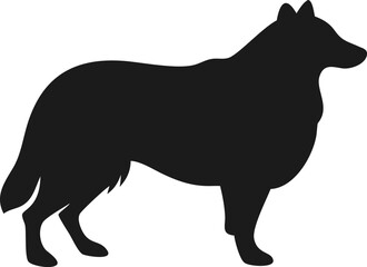 collie herding dog silhouette