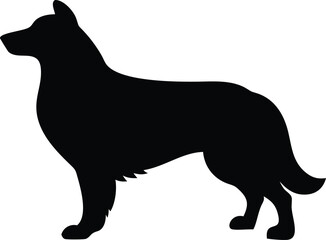 collie herding dog silhouette