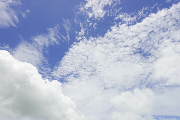 Fototapeta premium Airy atmosphere by the beach in Summer