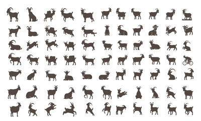 Set of Goat with different position on white background
