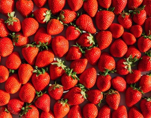 strawberries still life photograph