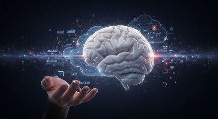 Human Brain Exploring the Mysteries of Cognitive Function and Neural Networks
