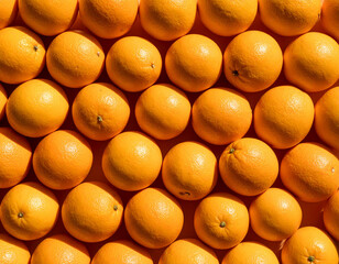 Oranges still life photograph