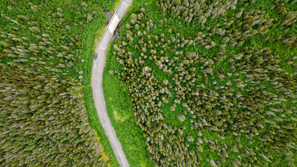 Fototapeta premium Bird's-eye view of a dirt road crossing the boreal forest