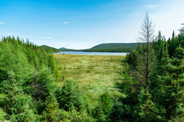 Obraz premium Magnificent landscape of forest, marsh, lake and mountains on a beautiful summer day