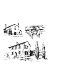 Vineyards landscapes sketched abstract digital illustration