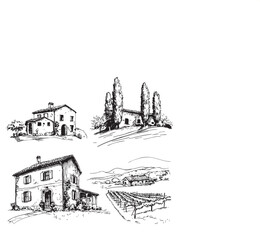 Vineyards landscapes sketched abstract digital illustration