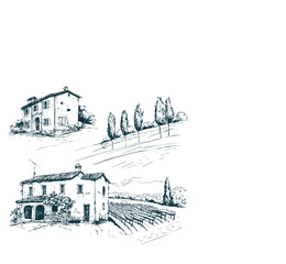 Vineyards landscapes sketched abstract digital illustration