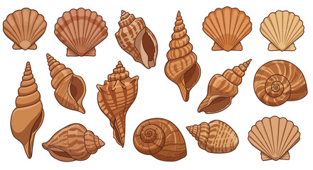 Assortment of Detailed and Colorful Seashells with Various Shapes and Textures