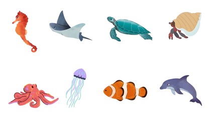 Colorful watercolor-style illustrations of various sea creatures.