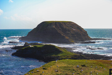 Nobbies Rock Formation at Phillip Island - 20 September 2011