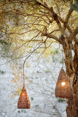 Decorative wicker lamps are hanging on a large tree under the tables of a street restaurant in a small European town