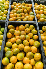 Close-up view of numerous ripe oranges neatly arranged in black plastic crates at a market
