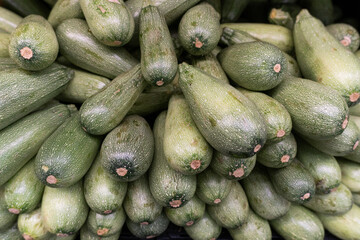 Close-up view of a large pile of fresh, green zucchini, showcasing their textured skin and uniform shape