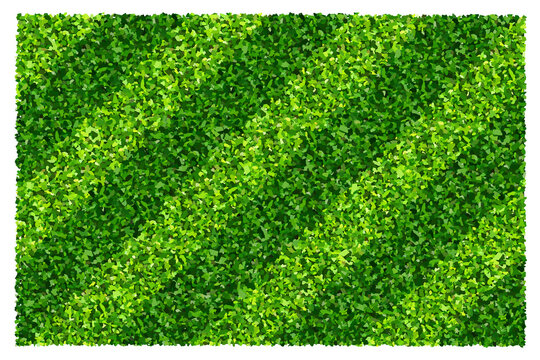 Green grass field background for sports and recreation. Realistic green lawn pattern and texture for background.