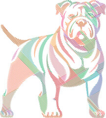 Elegant American Bulldog Dog Sketch in Stylized Design Illustration