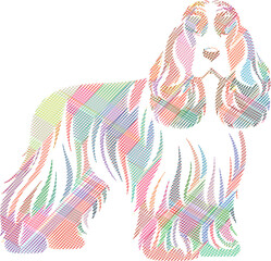 Full Body American Cocker Spaniel Scribble Style Illustration