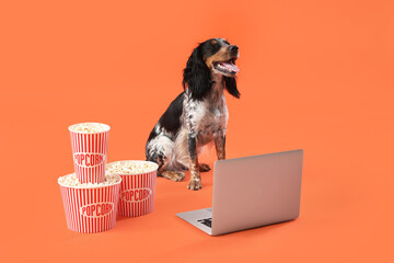 Cute cocker spaniel dog with buckets of popcorn and laptop sitting on orange background