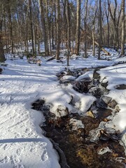 Frozen Stream in Woods