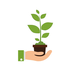 Plant care icon. Hand holding pot. Green sprout symbol. Vector nature design.