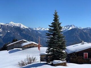 Fototapeta premium Winter Landschaft Heinzenberg, im Domleschg, Graubünden im Schnee, mit Chalet, Ferienhäuser, Holzhütten, Panorama auf die Berge Piz Scalottas, Stätzerhorn, Fullhorn, Lenzerhorn, Guggernellgrat, Tanne