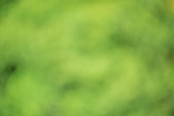 Abstract defocused background, blurred greenery. Blurred bokeh of light and dark green color.