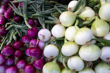 Organic Farmer's Market Fresh Vegetable Red Purple White Onions