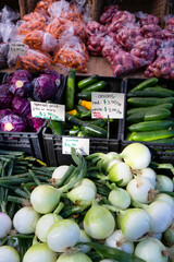 Organic Farmer's Market Fresh Vegetable White Onion Assortment