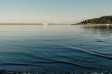 distant view of Mt. Rainier and ferry boat from a beach on Bainbridge Island