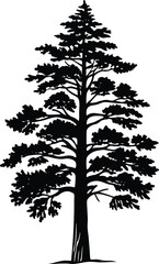 Black Silhouette of Pine Tree, Vector Illustration of Forest Evergreen for Nature and Outdoor Themes