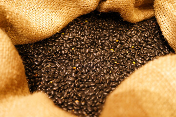 Close-up of black bean