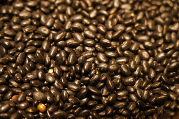 Close-up of black bean