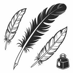 Fototapeta premium Three stylized feathers, black and white, isolated on white background
