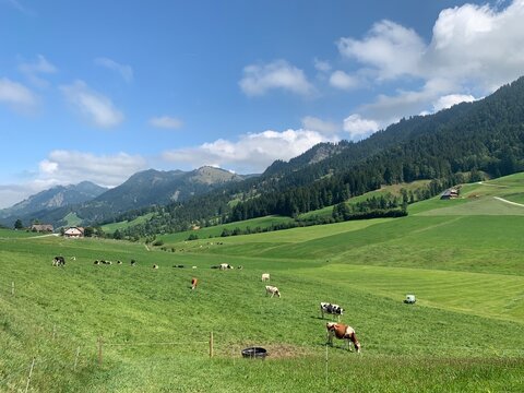 Landschaft im Emmental - Wiesen, Kuhweiden, W&auml;lder und Berge/ Kanton Bern - Schweiz