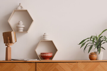 Houseplant with different decor on dresser near white wall in living room
