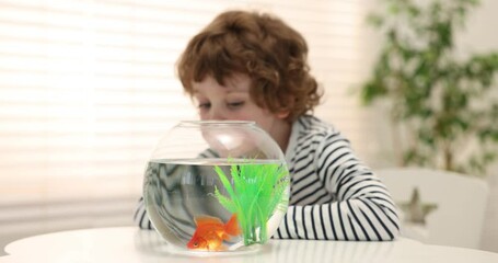 Little boy with goldfish in aquarium making wish at home