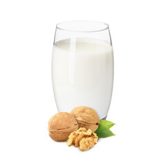 Nut milk in glass and walnuts isolated on white
