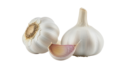 Garlic bulbs and clove closeup