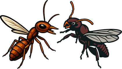 Termite vector two models.eps