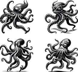 Fototapeta premium Four Detailed Line Art Octopus Illustrations