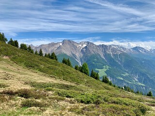 Berglandschaft auf der Riederalp am Wanderweg im Wallis mit Blick und Panorama auf Berge: Furggen, Breithorn, F&uuml;lhorn, B&auml;ttlihorn , Wald und Wiese