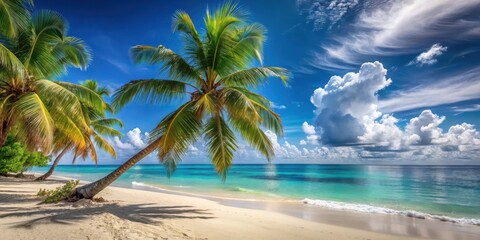 Idyllic Tropical Beach Scene Lush Palm Trees Arching Over Pristine White Sand and Turquoise Waters Under a Vivid Blue Sky with Puffy Clouds