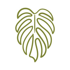 Hand-drawn illustration of a tropical leaf, a minimalist lineart drawing of a tropical leaf