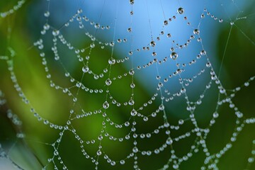 Close-up of spider web covered in dew droplets with green and blue blurred background, showcasing intricate and delicate natural patterns