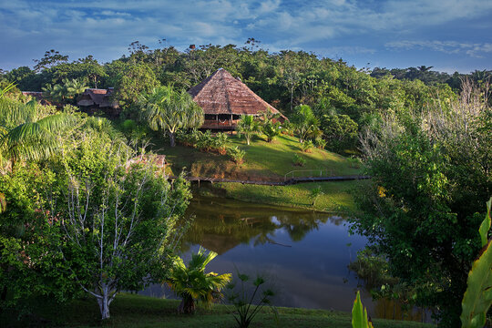 Eco escape in the heart of Pacaya Samiria. Sustainable comfort surrounded by the Amazon's wild beauty. Loreto Peru