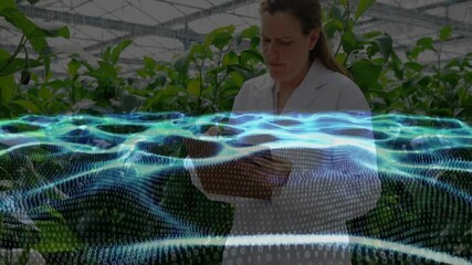 researcher swiping tablet while running greenhouse sensor analysis with animated data grid overlay - Powered by Adobe
