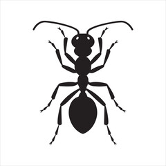 Ant Silhouette Icon – Insect Minimal Vector Illustration